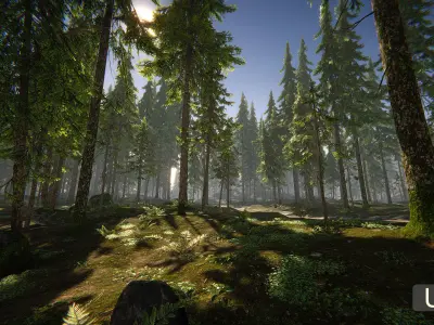 Hazy Hills - Conifer Forest Low-poly 3D model