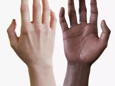 Realistic Human Hand Low-poly 3D model