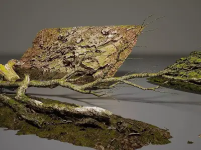 Rock Tree - Environment pack  Low-poly 3D model