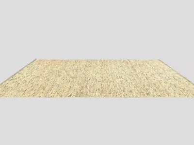 High-Precision Fabric Persian Rug 3D model 01 3D model