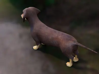  Dachshund Low Poly - Game Ready 