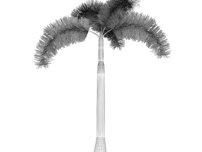 Foxtail Palm 3D model