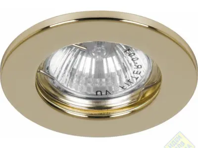 lightS downlight with gold finish 3D model