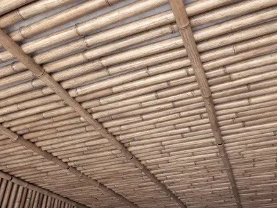 Bamboo ceiling 3D model