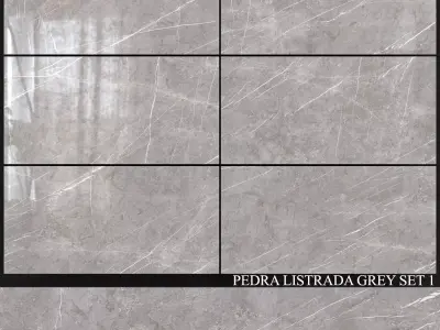 Decovita Pedra Listrada Grey 600x1200 Set 1 3D model