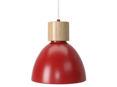 Albany Iron and Wood Bell Pendant 3D model