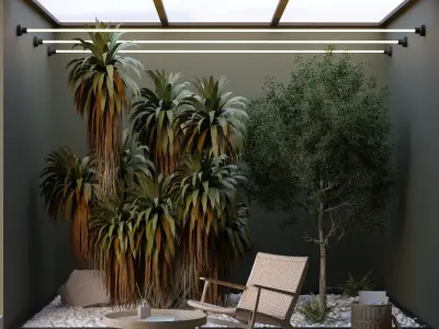 Open roof lounge with mountain cabbage plants 3D model