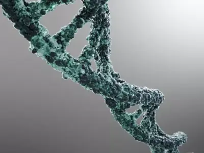 DNA strand 3D model