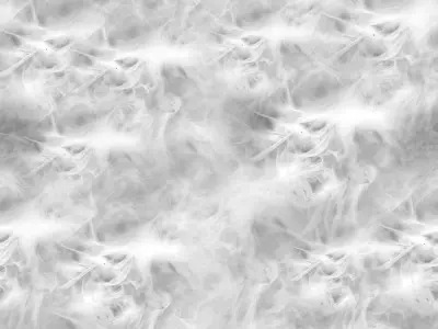 feather PBR material version2 Free low-poly 3D model