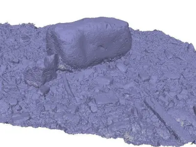 Forest creek rock 3D scan Low-poly 3D model