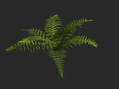Foliage fern Free low-poly 3D model