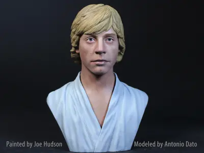 Mark Hamill as Luke Skywalker Bust Printable 3D Model 3D print model