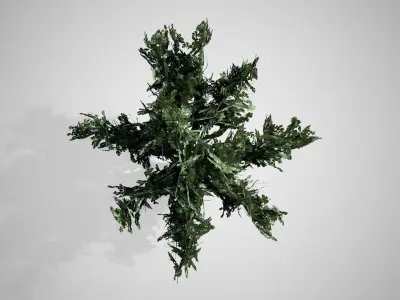 Common Hawthorn Flowers Tree Low-poly 3D model