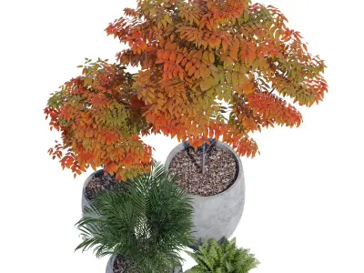 Paolelli one 3D model