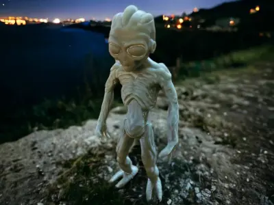 Varginha Alien 3D print model