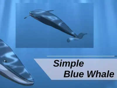 For Anime - Simple Blue Whale 3D model