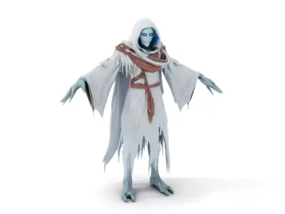 Ethereal Wraith Character Model  Fully Rigged and Animated Low-poly 3D model