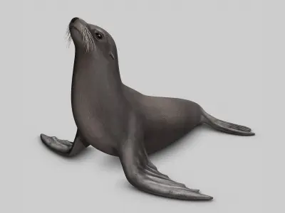  Sea Lion 