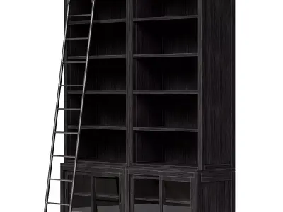 Admont Double Bookcase With Ladder 3D model
