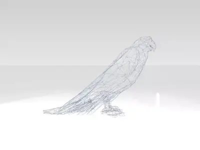 Parrot Wireframe 3D model