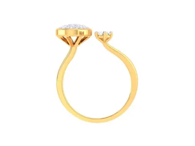 Light Wt Ring - 71 3D print model