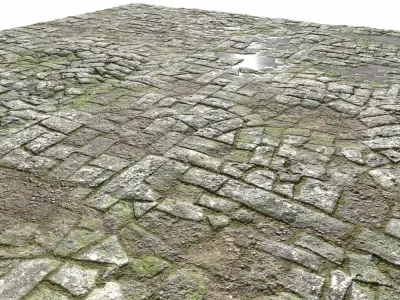 Old Mossy Floor Seamless PBR Texture