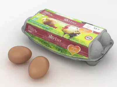 Egg Carton 002 3D model