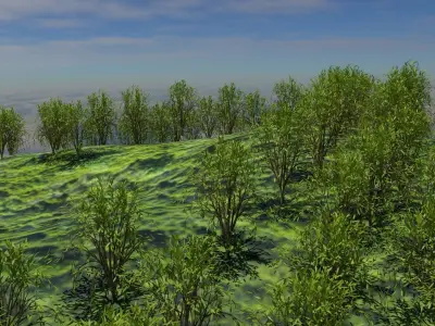 Forest Mountain Low-poly 3D model