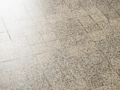 Terrazzo tiles 01 Texture