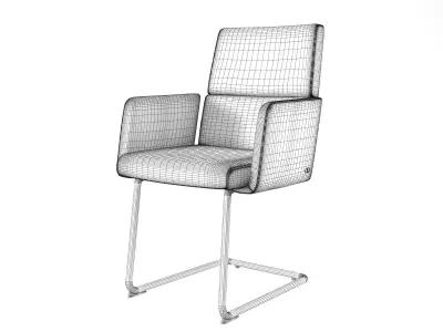 DS 414 Cantilever Armchairs 3D model