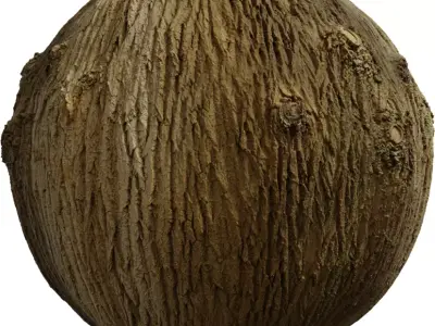 Deep Furrowed Tree Bark PBR Texture Texture