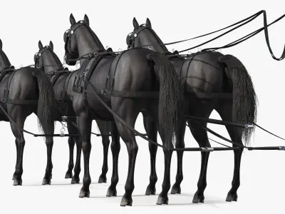  Four Black Horses in Breast Collar Harness 
