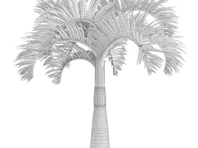 Christmas Palm Tree 3D model
