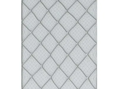 Leah Shag Rug 3D model