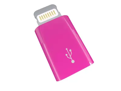 Lightning to Micro USB Converter v1 007 Low-poly 3D model