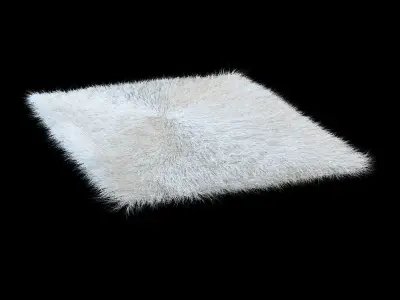 Carpet longe pile 3D model
