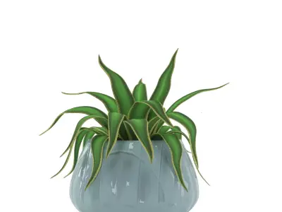 Green plant in a blue pot  3D model