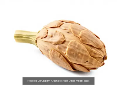 Realistic Vegetable Models Pack