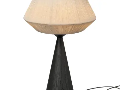 Totora Table Lamp by CB2 3D model