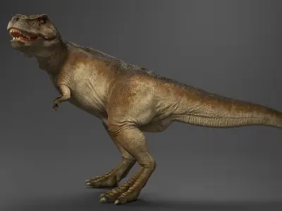  Tyrannosaurus Rex Standing Pose 