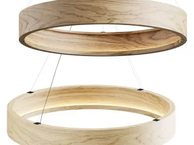 Baum Chandelier 3D model