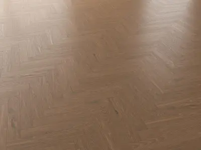 Parquet Oak Vincinyatta Brushed set 2 3D model