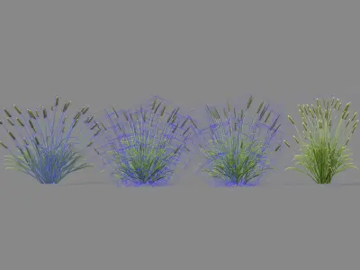 Shrub 2 tall grass Low-poly 3D model
