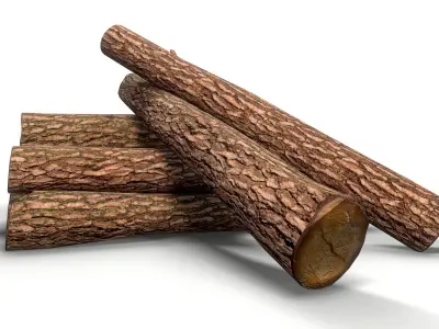 Log - Pine decks Low-poly 3D model