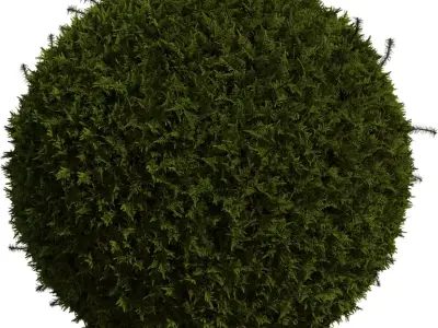 Realistic Moss Tuft  Ground Foliage 3D Model Pack  Low-poly 3D model