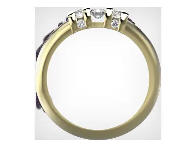 190813 R classic ring  3D print model