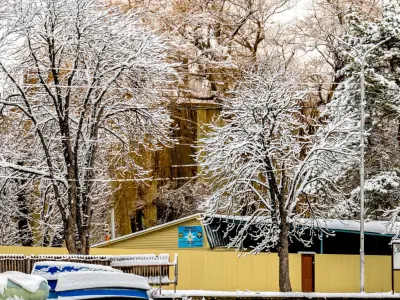 Panorama of the park with a lake and snow-covered trees - 40k 3D model