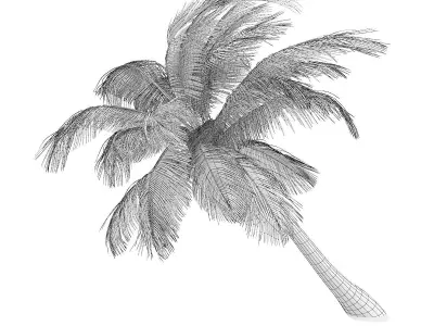 Sloping Palm Tree 3D model