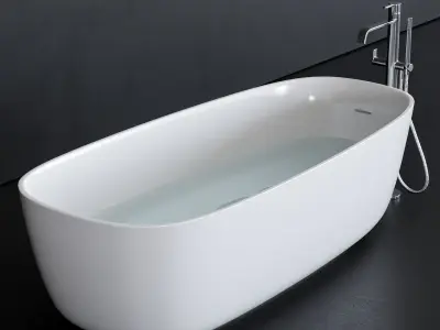 Disenia River Bathtub Low-poly 3D model