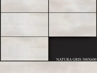 Keros Natura Gris 300x600 3D model